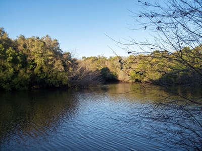 Chacras o Campos en Colonia del Sacramento