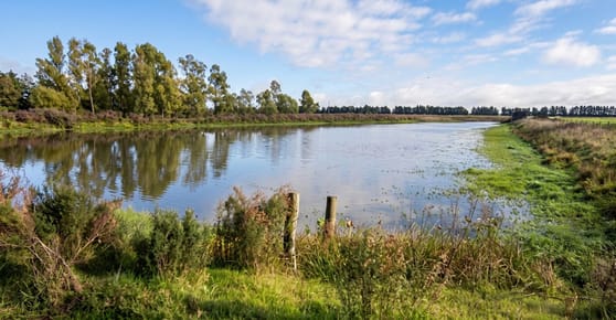 CAMPO GANADERO AGRÍCOLA \"LOS CABALLOS\"