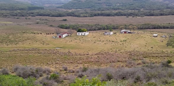 CAMPO EN TACUAREMBÓ