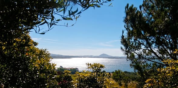 TERRENO EN LAS CUMBRES