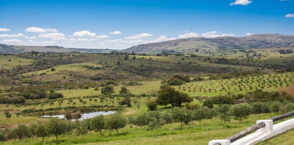 Chacras o Campos en Maldonado