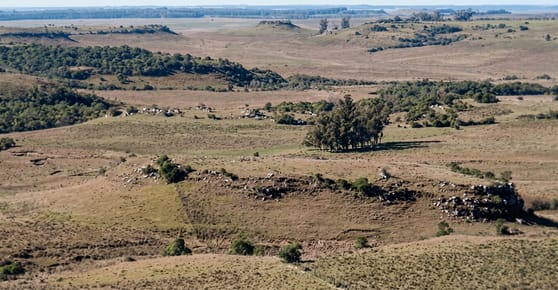 ESTANCIA GANADERA EN TACUAREMBÓ