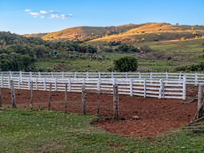 CAMPO EN TACUAREMBÓ