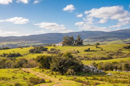 CAMPO EN MALDONADO