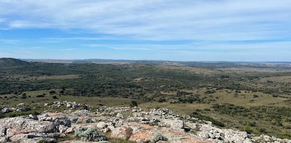 CAMPO EN MALDONADO Y LAVALLEJA