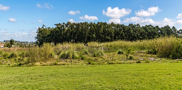 TERRENO PRÓXIMO A RUTA 101