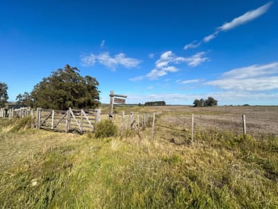 Chacra en venta en Lavalleja