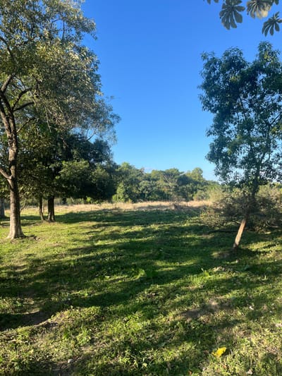 EN VENTA: TERRENO DE 2,25 HECTÁREAS EN YPACARAÍ