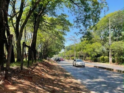 VENDO 6 HA EN SAN ANTONIO