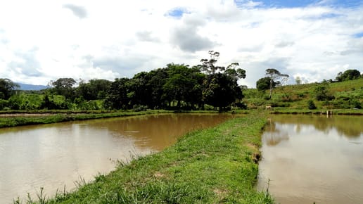 MOYOBAMBA - HERMOSA FINCA 