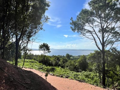 Terrenos Punta Batllena  Punta del Este