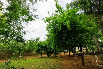 Casa-Venta-Valle Karé, Itauguá, Central