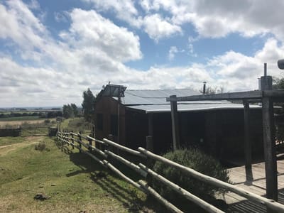 Campo a la venta 40 Hectáreas en Poblado Colón, Lavalleja
