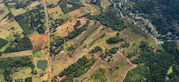 Vendo 65 ha. sobre ruta PY03, San Estanislao