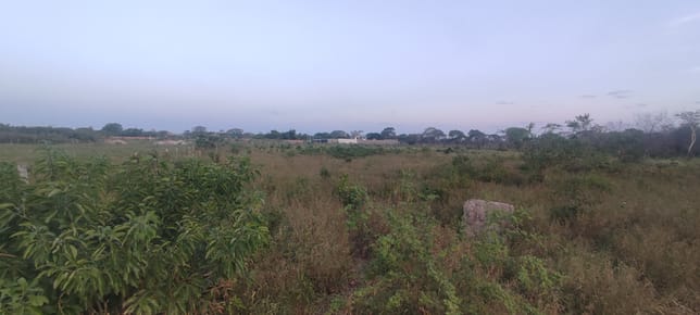 terreno en venta 