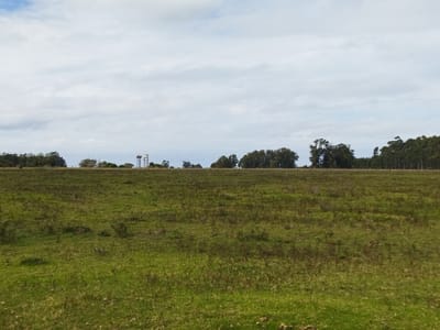 CHACRA EN LA PALOMA PROXIMA A RUTA 10 