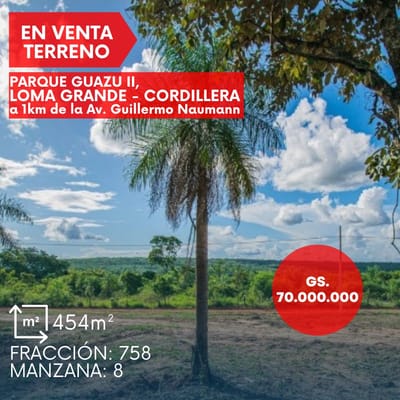 Venta Terreno en Loma Grande - Cordillera