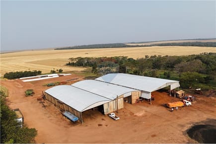 Vendo Campo Mecánizado de 1.030 Hectáreas en San Pedro, Tapiracuai Loma 