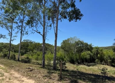 VENDO 10 LOTES JUNTOS EN LOMA GRANDE EN ESQUINA CERCA DE ARROYO