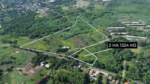 vendo 2 hectareas en luque isla bogado