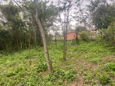 VENDO TERRENO EN YKUA KARANDAY LUQUE