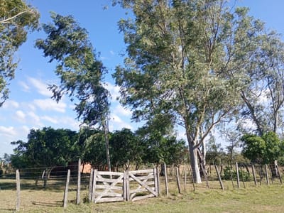 VENDO TERRENO EN SANTO TOMÁS (MBATOVI) - PARAGUARÍ