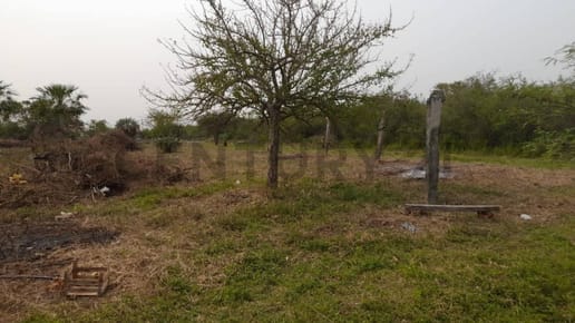 Venta de Terreno en Limpio, Central