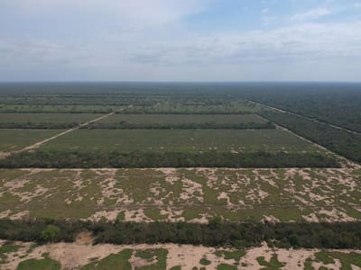 Propiedad En Venta En Pailon