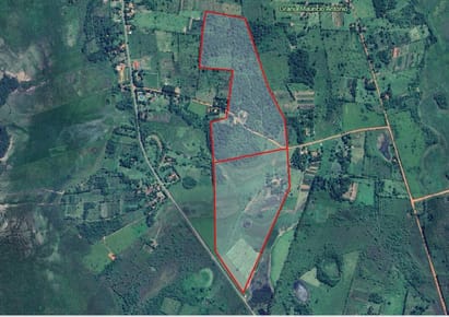 En venta 52 hectáreas sobre ruta en Tacuaty distrito de Ybycui - Paraguari