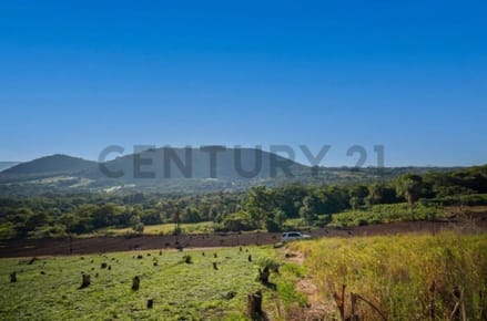 Oportunidad De Inversión, 20 Hectáreas En Cerro Cora - Sapucai