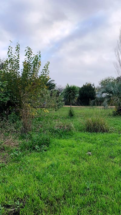 Gran Terreno en Maldonado, importante frente en Blvr. Artigas