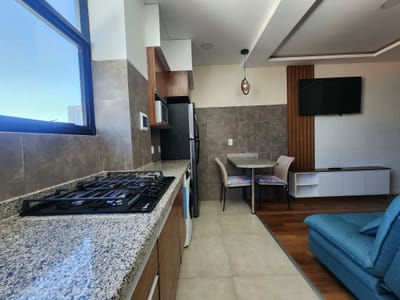 DEPARTAMENTO AMOBLADO Y EQUIPADO, CALACOTO