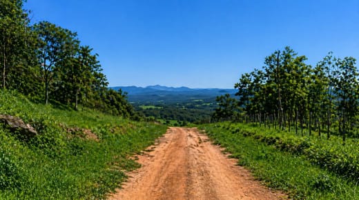 OPORTUNIDAD DE INVERSION- PROPIEDAD RURAL EN PARAGUARÍ 