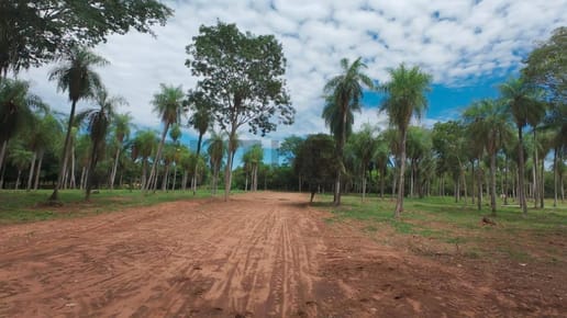 OPORTUNIDAD DE INVERSION LOTES EN LA CIUDAD DE ALTOS