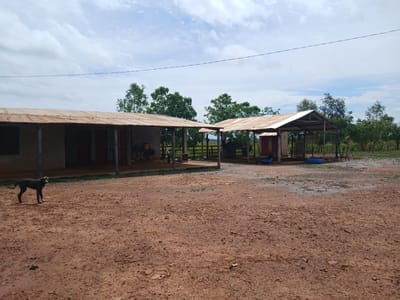 ESTANCIA EN VENTA | 38 HECTÁREAS EN CARAGUATAY