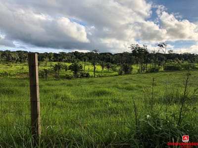 EN VENTA PROPIEDAD GANADERA  A 39 km de San Javier