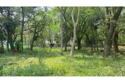 Vendo terreno en la ciudad de Mariano Roque Alonso 