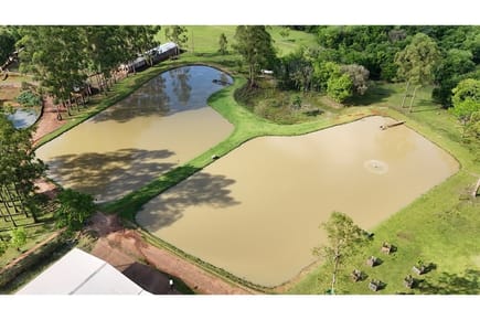 Estancia/Campo-Venta-a 2.5 km de tavapy, Tavapy, Alto Paraná