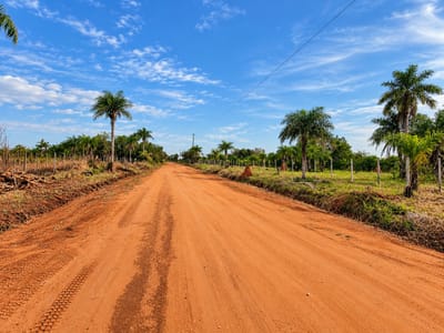 TERRENO EN VENTA EN EMBOSCADA | 12 HECTÁREAS PARA LOTEAMIENTO