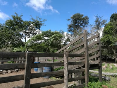 Venta Linda Propiedad A 10 Km De Paurito