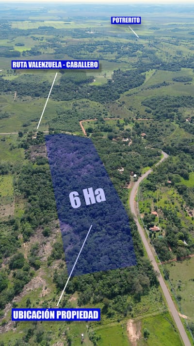 EN VALENZUELA TERRENO DE 6 HECTÁREAS SOBRE ASFALTADO 