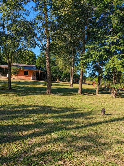 Terreno de 3.177 m² en venta en Concepción