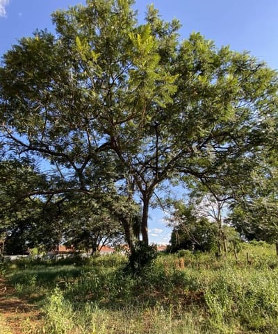 Venta de Terreno en Luque, Central