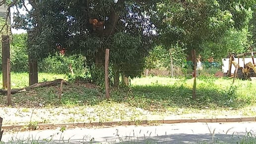 Vendo Terreno En San Lorenzo Capilla Del Monte