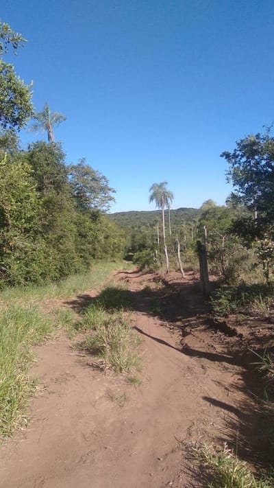 En venta Propiedad Agrícola en Pirebebuy, Cordillera