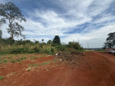 Terreno de 10.000 m² en Esquina sobre Ruta – Hernandarias