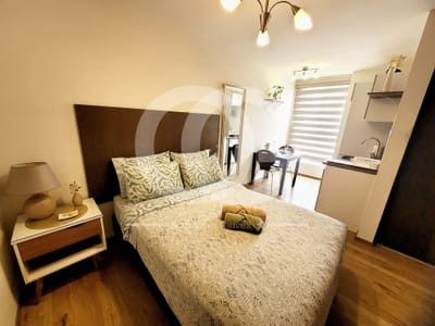 Cálido Monoambiente Equipado en Alquiler en Av. Santa Cruz
