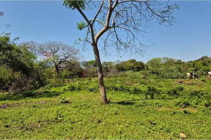 vendo amplio y gran terreno en luque city 