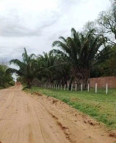 Propiedad en venta de 2.3 hectáreas zona Urubo comunidad Tarumatu 