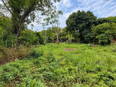 VENDO TERRENO EN TARUMANDY LUQUE